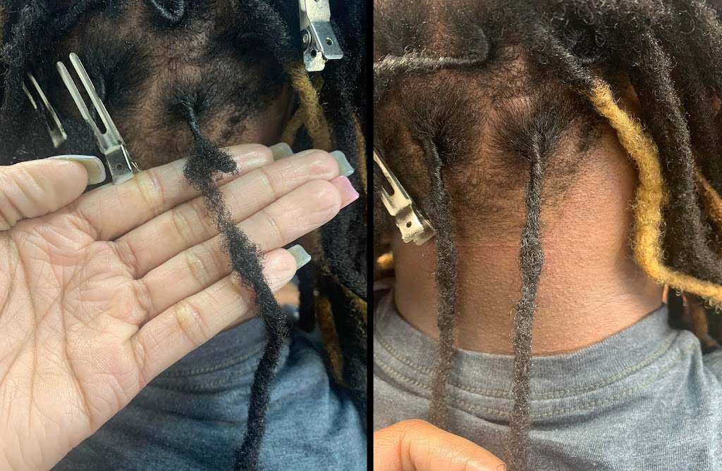 Favored Follicles 48334