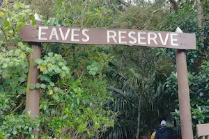 Alice Eaves Scenic Reserve image