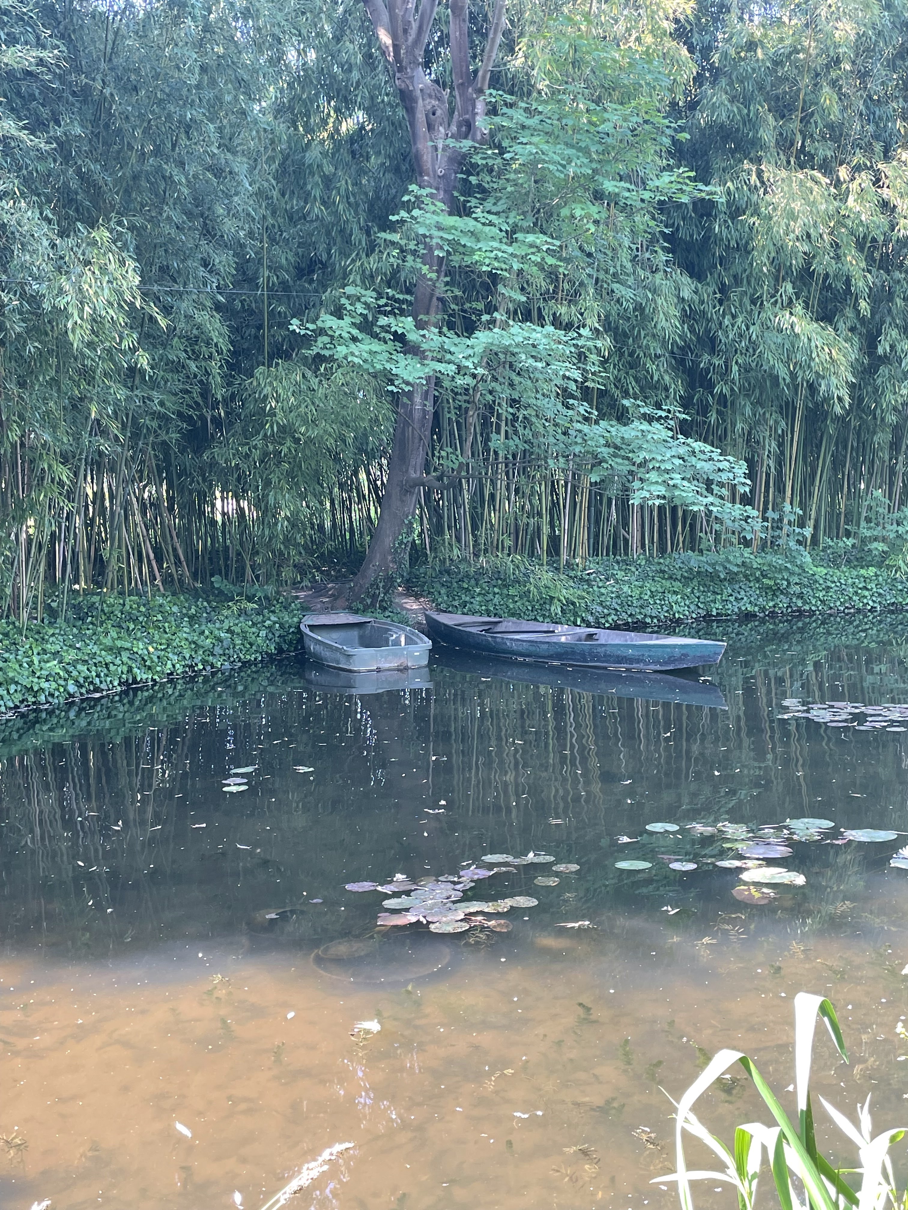 Photo n° 11 de l'avis de Nini.e fait le 07/06/2023 à 05:00