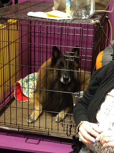 Arena «Madison Square Garden», reviews and photos, 4 Pennsylvania Plaza, New York, NY 10001, USA