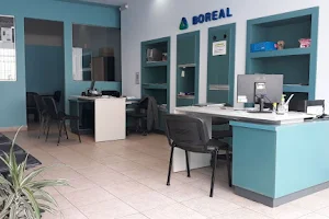 Boreal Cobertura de Salud image