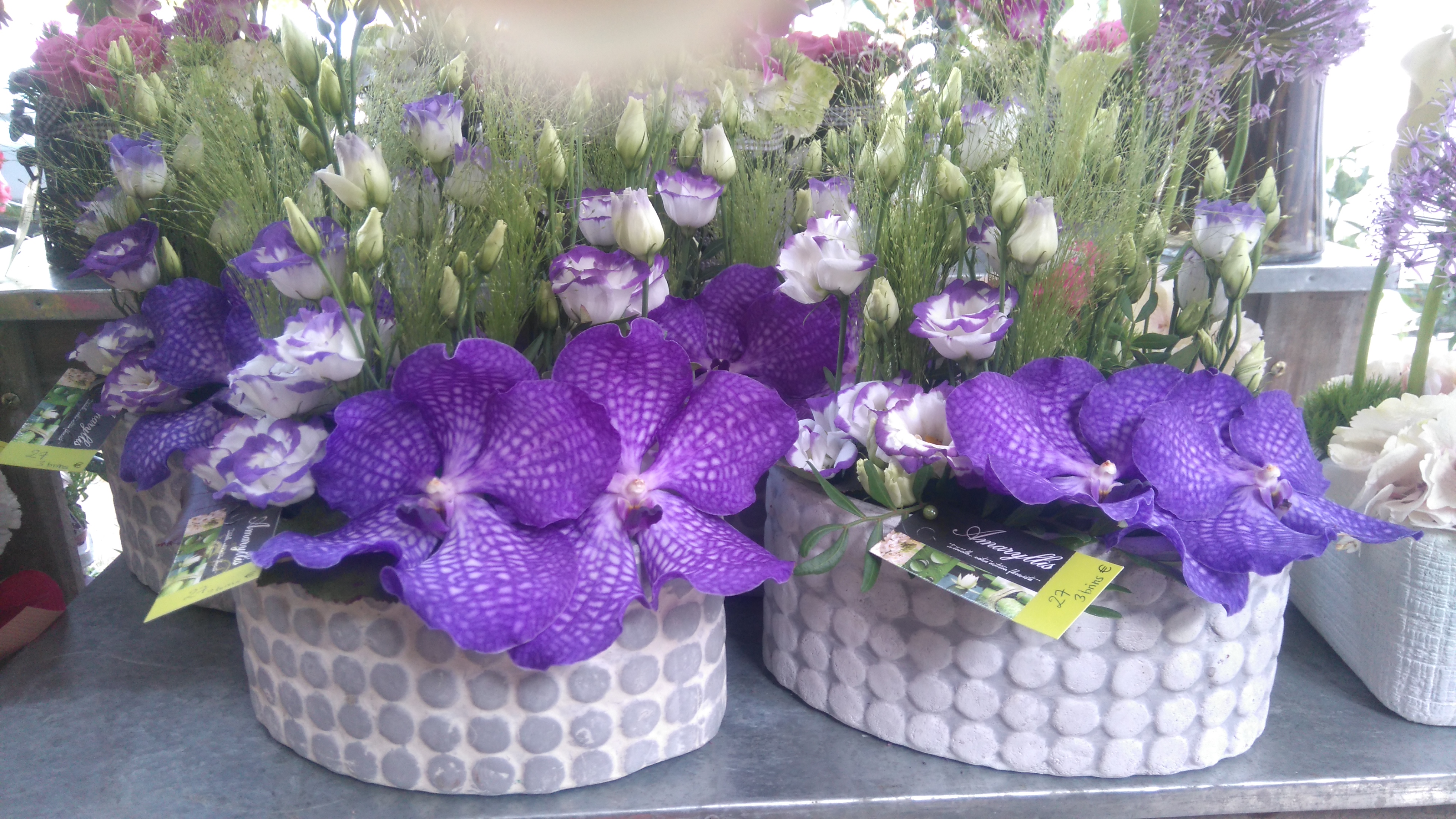 Photo n° 11 de l'avis de fleuriste.m fait le 24/01/2017 à 16:42