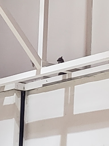 Museum «Pearson Air Museum», reviews and photos, 1115 E 5th St, Vancouver, WA 98661, USA