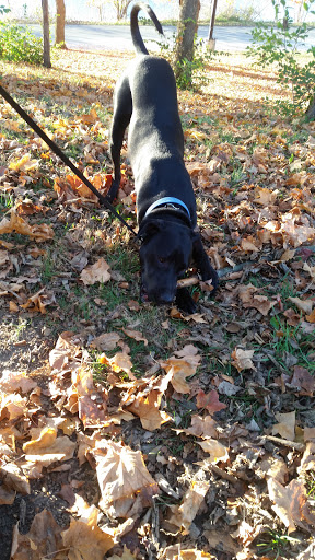 Nature Preserve «GRIGGS RESERVOIR PARK», reviews and photos, 2933 Riverside Dr, Columbus, OH 43221, USA