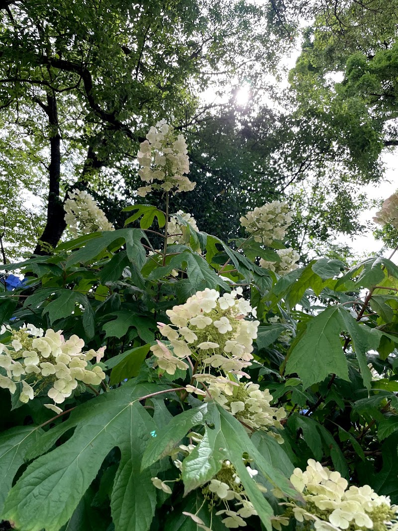 御裳神社 愛知県一宮市三条宮西 神社 神社 グルコミ