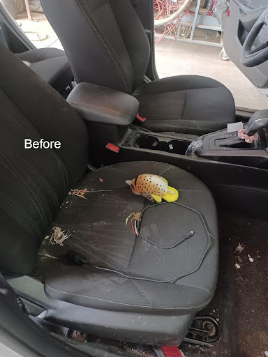 EXECUTIVE IMPORTZ AUTO & DETAILING en Vernal