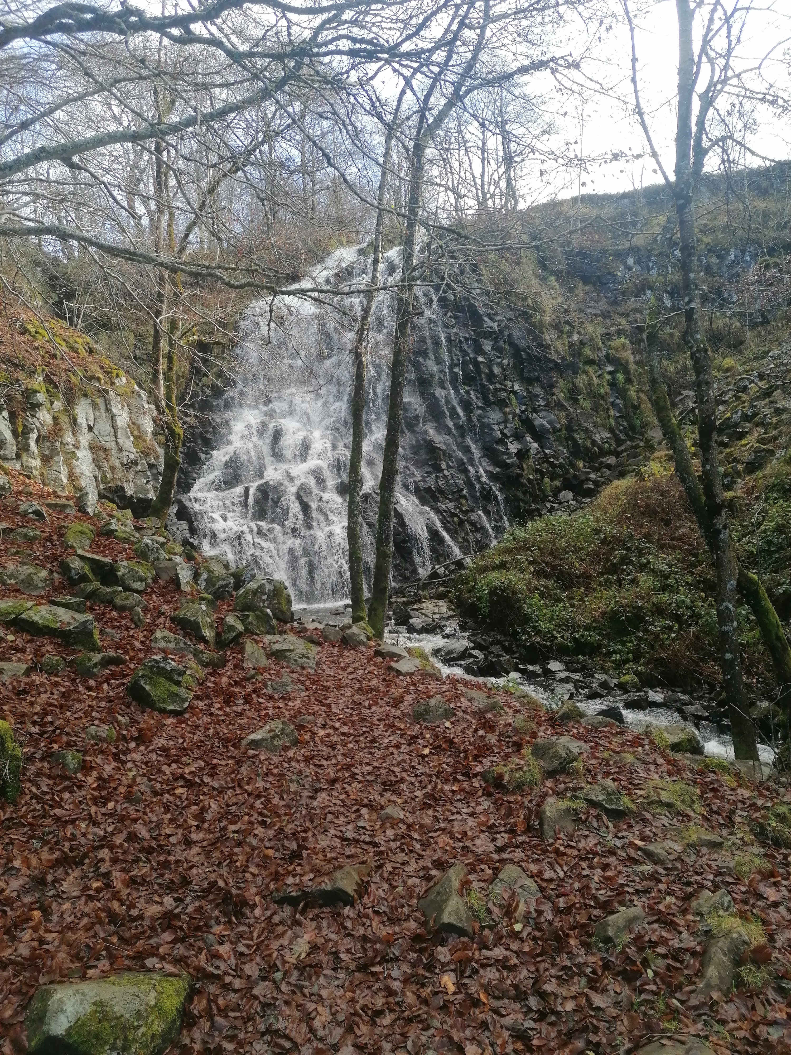 Photo n° 2 de l'avis de Deikta. fait le 21/11/2021 à 13:06