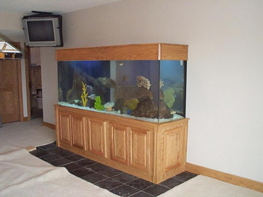 Aquarium «Advanced Aquarium Services», reviews and photos, 18451 152nd Ave N, Dayton, MN 55327, USA