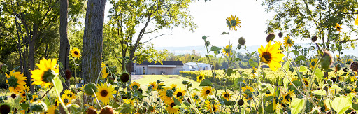 Winery «Hermann J. Wiemer Vineyard», reviews and photos, 3962 NY-14, Dundee, NY 14837, USA