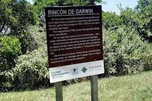 Rincón de Darwin image