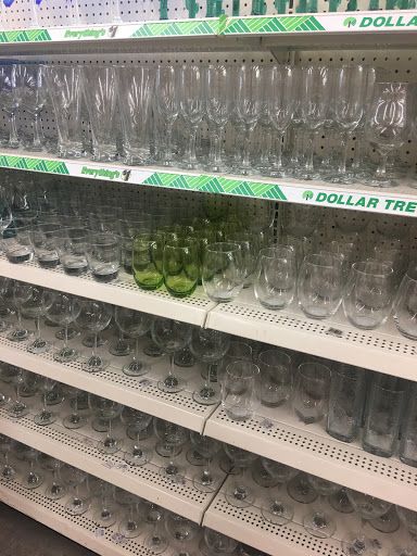 Dollar Store «Dollar Tree», reviews and photos, 907 N Homestead Blvd, Homestead, FL 33030, USA