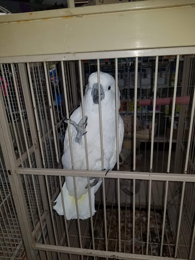 Animal Feed Store «Collier Feed & Pet Supply», reviews and photos, 101 W Laurel Dr, Salinas, CA 93906, USA