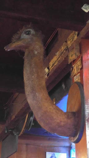 Bar & Grill «Music City Bar & Grill», reviews and photos, 2416 Music Valley Dr # 161, Nashville, TN 37214, USA