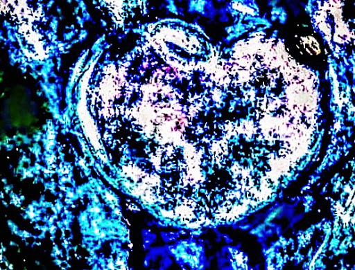 Sporting Goods Store «Big 5 Sporting Goods - Long Beach (4Th Street)», reviews and photos, 205 E 4th St B-115, Long Beach, CA 90802, USA