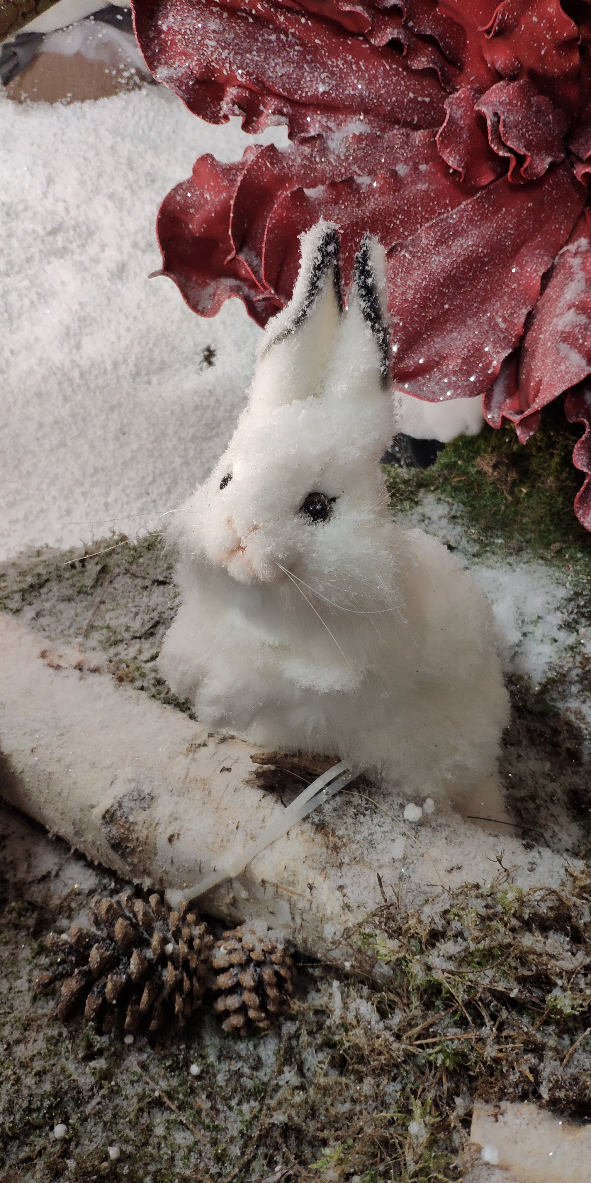Photo n° 3 de l'avis de Siegfried.U fait le 19/01/2019 à 20:35