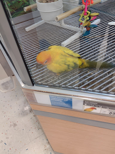 Pet Supply Store «Petco Animal Supplies», reviews and photos, 3680 Spencer Hwy, Pasadena, TX 77504, USA