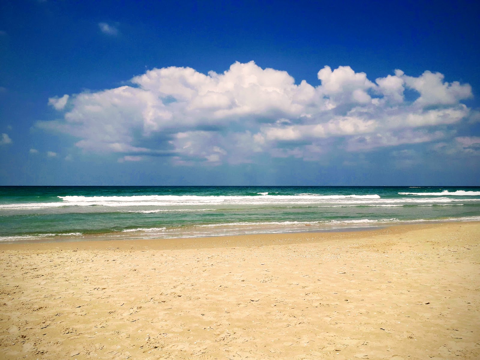 Nemo beach photo #8