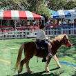 Pony Rentals