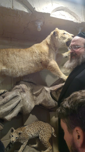 Museum «Living Torah Museum», reviews and photos, 1603 41st St, Brooklyn, NY 11218, USA