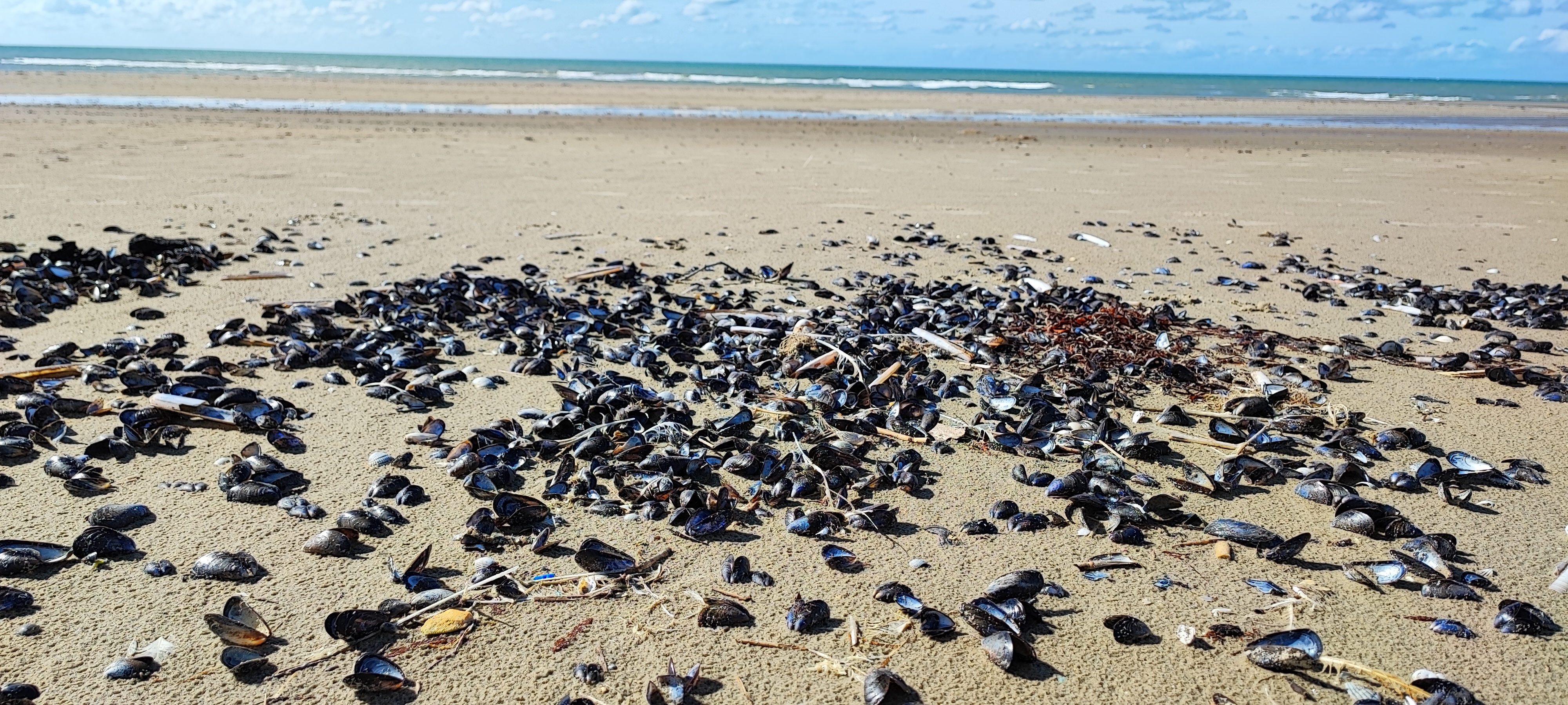 Photo n° 8 de l'avis de Laurence.A fait le 26/09/2022 à 11:14