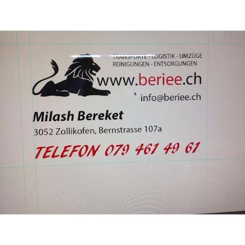 Rezensionen über Beriee in Bern - Umzugs- und Lagerservice