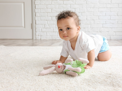 Safe-Dry Carpet Cleaning