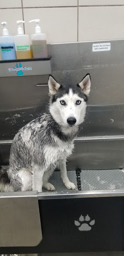 Pet Supply Store «Pet Supplies Plus», reviews and photos, 9430 W 159th St, Orland Park, IL 60467, USA