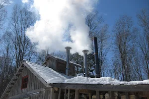 Bella Hill Maple Syrup image