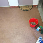 Photo n° 1 de l'avis de makie.e fait le 13/06/2022 à 21:18 pour HDS (Hygiène Dératisation Services) à Torigny-les-Villes