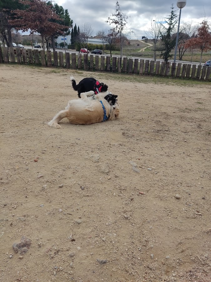 Parque Arcipreste