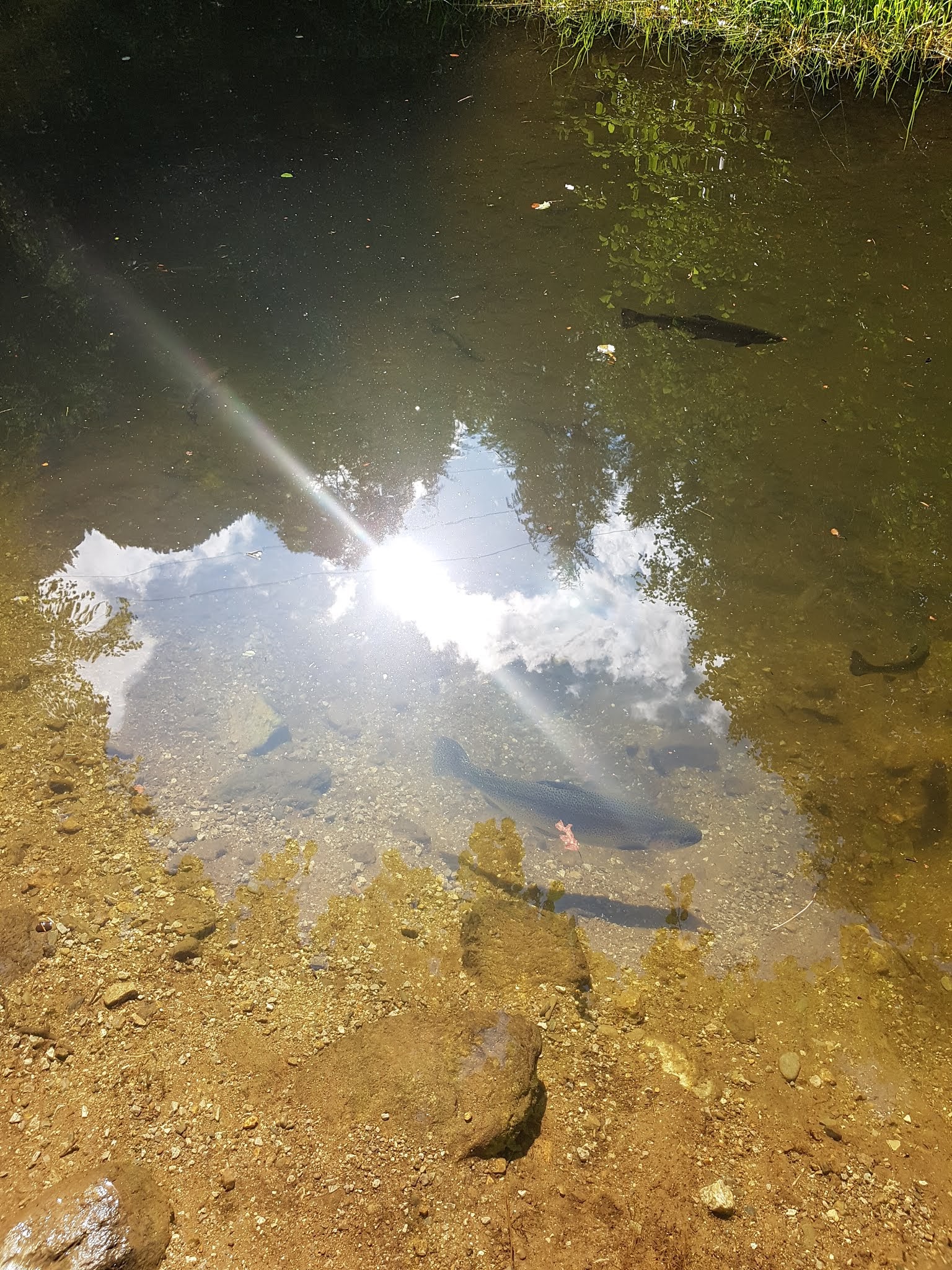 Photo n° 4 de l'avis de Eric.c fait le 26/09/2018 à 20:56