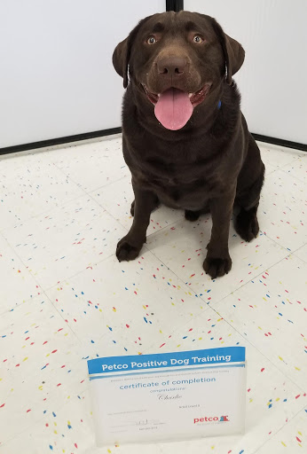 Pet Supply Store «Petco Animal Supplies», reviews and photos, 6181 Old Dobbin Ln #800, Columbia, MD 21045, USA