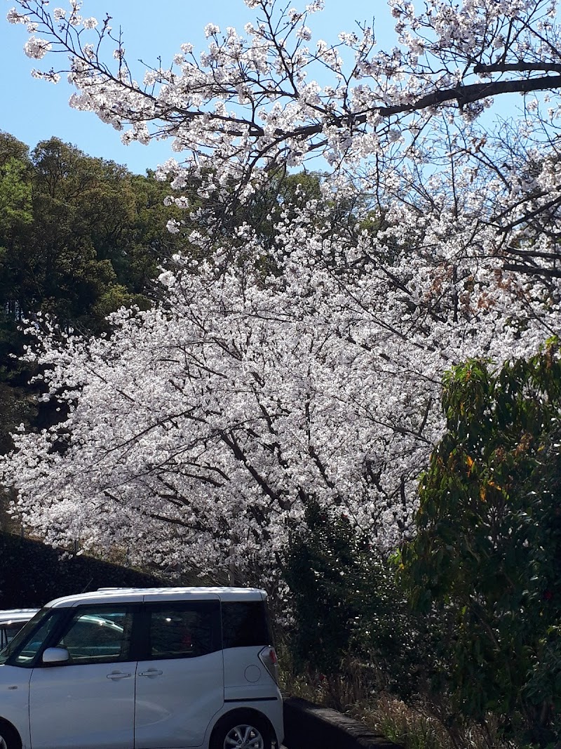 岡豊山歴史公園