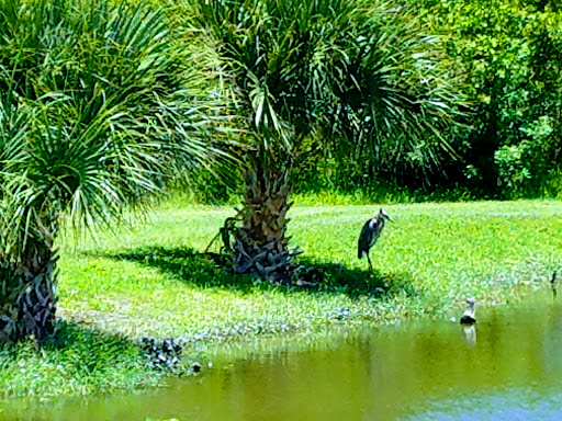 Golf Course «Lake Worth Golf Course», reviews and photos, 1 7th Ave N #1, Lake Worth, FL 33460, USA