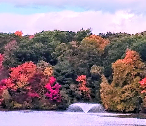 Memorial Park «Governor John Notte Memorial Park», reviews and photos, 1801 Douglas Ave, North Providence, RI 02904, USA