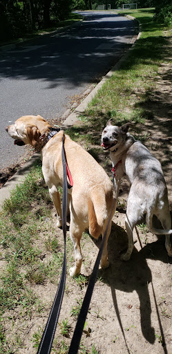 Park «Bechtel Park», reviews and photos, Naamans Rd, Claymont, DE 19703, USA