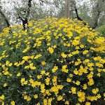 Photo n°2 de l'avis de Claudia.i fait le 30/04/2023 à 08:13 sur le  Affittacamere Il Granatino à Montecatini Terme