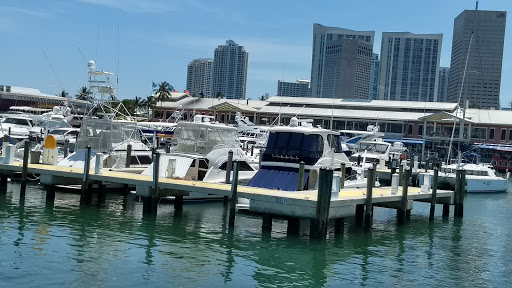 Arena «AmericanAirlines Arena», reviews and photos, 601 Biscayne Blvd, Miami, FL 33132, USA