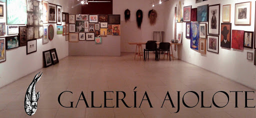 Galería Ajolote y Ediciones Axolotl