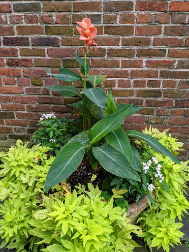 Museum «Davenport House Museum», reviews and photos, 324 E State St, Savannah, GA 31401, USA