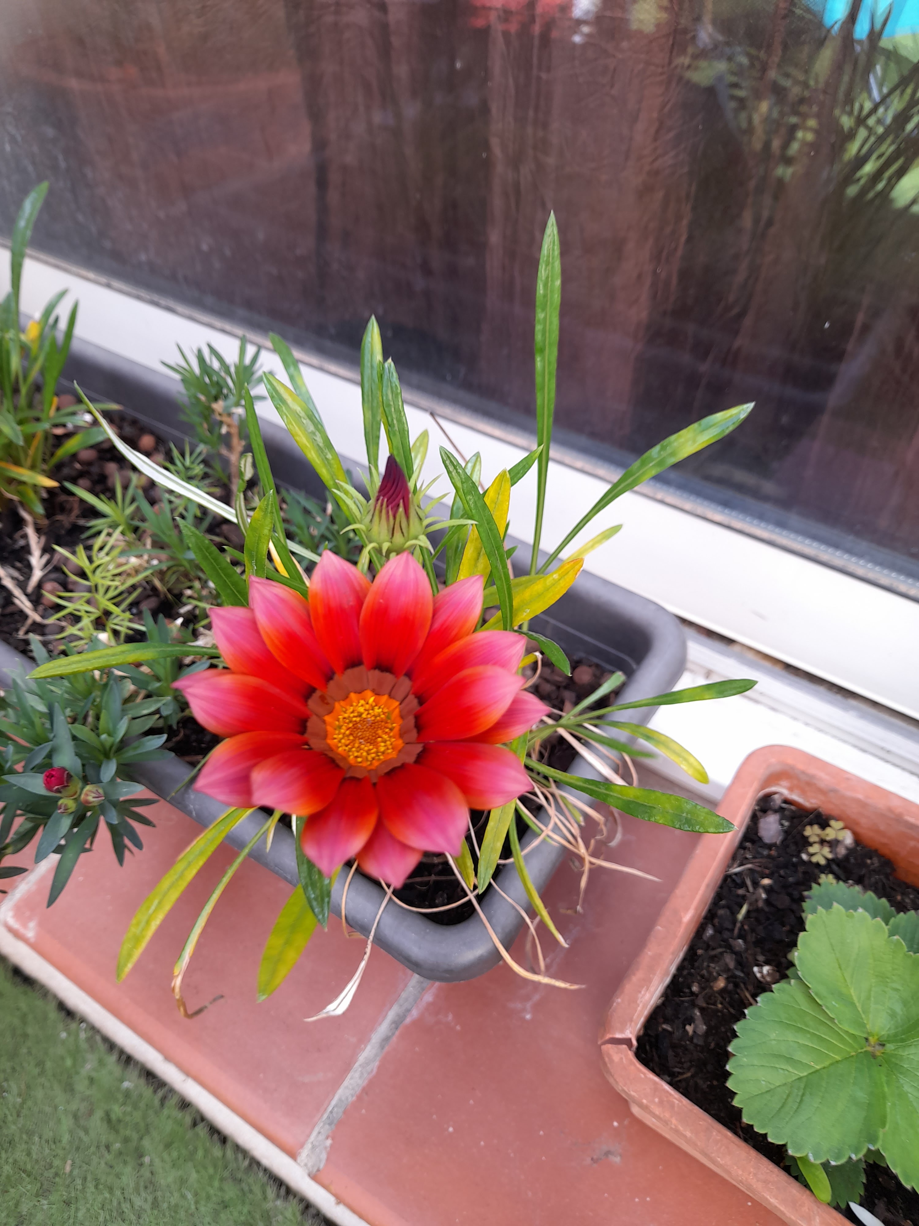 Photo n° 1 de l'avis de CATHERINE.a fait le 13/05/2023 à 15:15