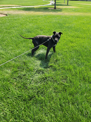 Pet Supply Store «Petco Animal Supplies», reviews and photos, 2210 N Eagle Rd, Meridian, ID 83646, USA