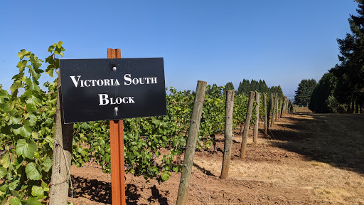 Vineyard «Cubanisimo Vineyards», reviews and photos, 1754 Best Rd NW, Salem, OR 97304, USA