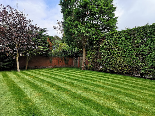 West Coast Landscaping and Garden Services - Swansea