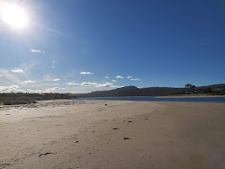 Foto af Sandpiper Beach II med høj niveau af renlighed