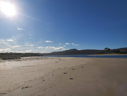 Photo de Sandpiper Beach II zone sauvage