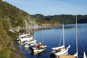 Hot Water Beach Campsite image