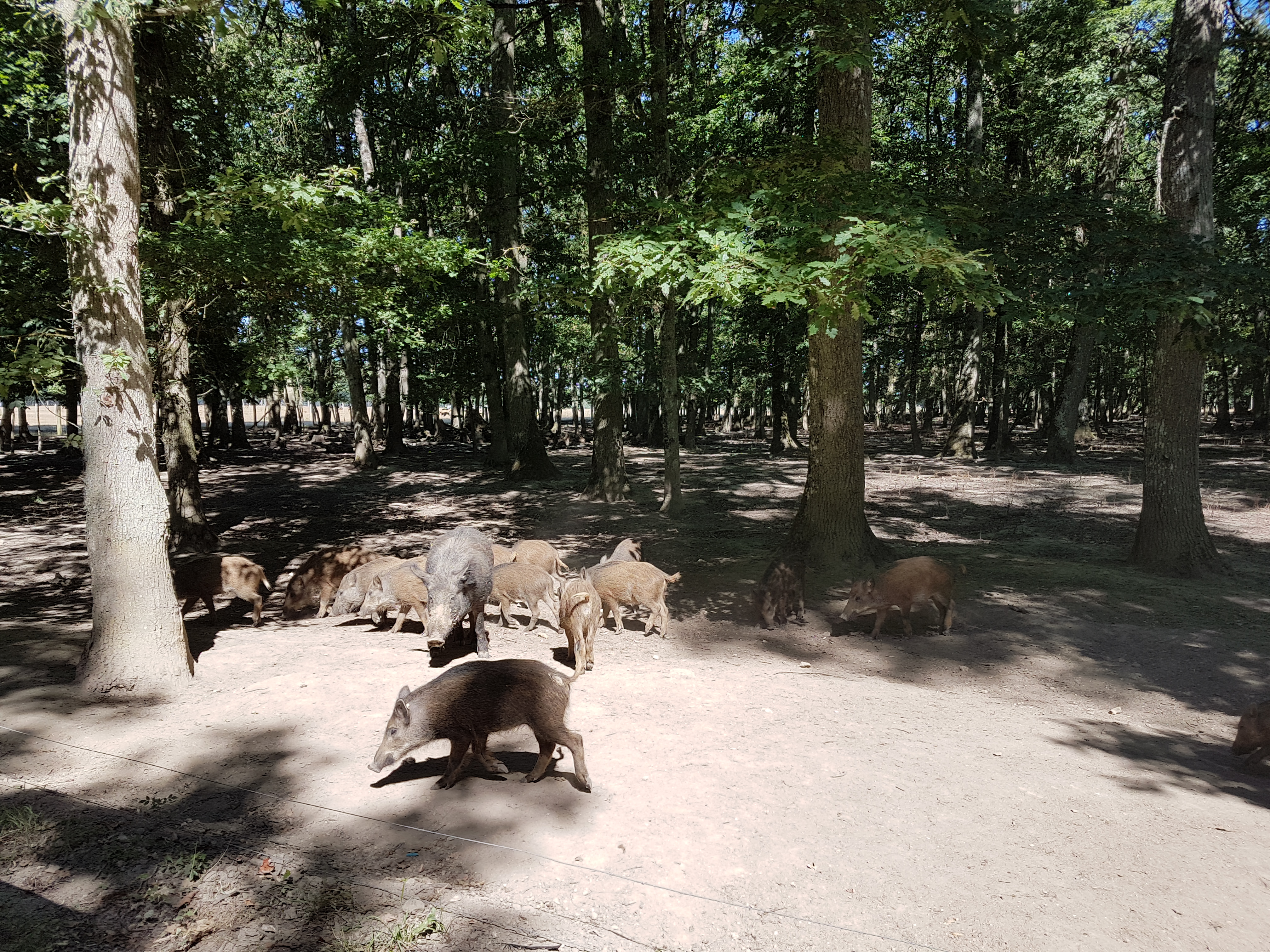 Photo n° 16 de l'avis de Antoine.u fait le 28/08/2018 à 20:48