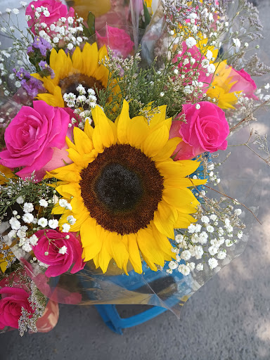Floristeria Santa Maria Tulpetlac Suc. LOS MICHIS – Ecatepec de Morelos