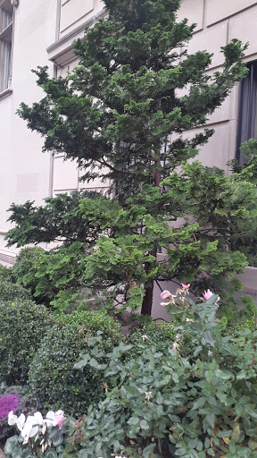 Modern Art Museum «Solomon R. Guggenheim Museum», reviews and photos, 1071 5th Ave, New York, NY 10128, USA